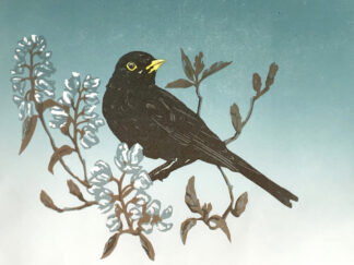 Blackbird in the Amelanchier. Handprinted linocut
